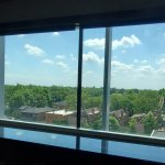 View out of office window at {PRACTICE_NAME}